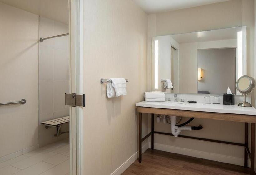 豪华工作室, Sheraton Carlsbad Resort & Spa