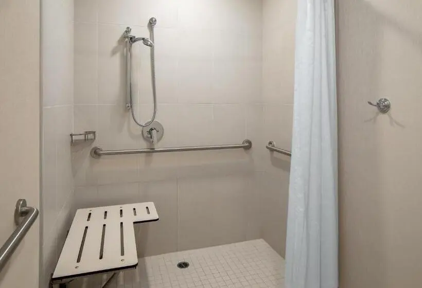 اتاق کلاسیک با تخت دونفره, Sheraton Carlsbad Resort & Spa