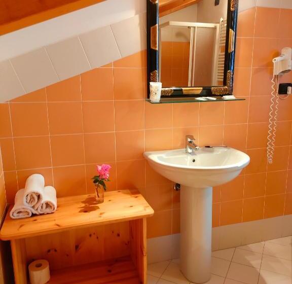 スタンダードルーム, Lion