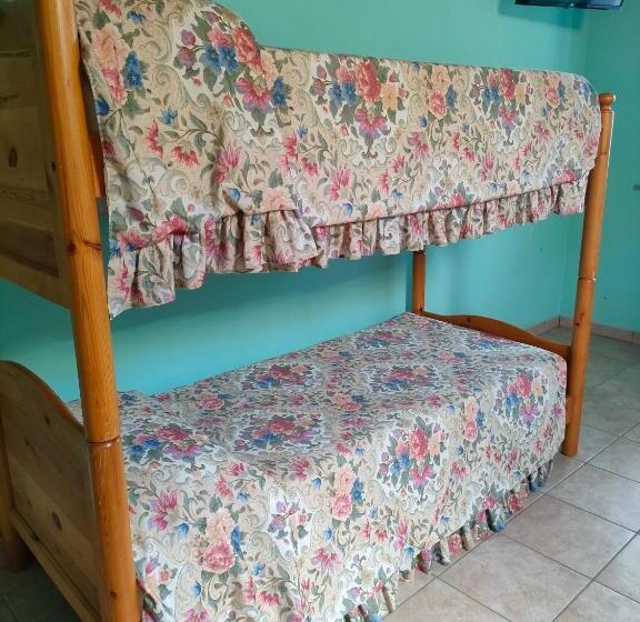 スタンダード４人部屋, Lion