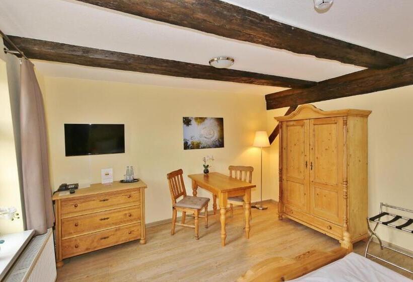 スタンダードルーム, Maria Aurora