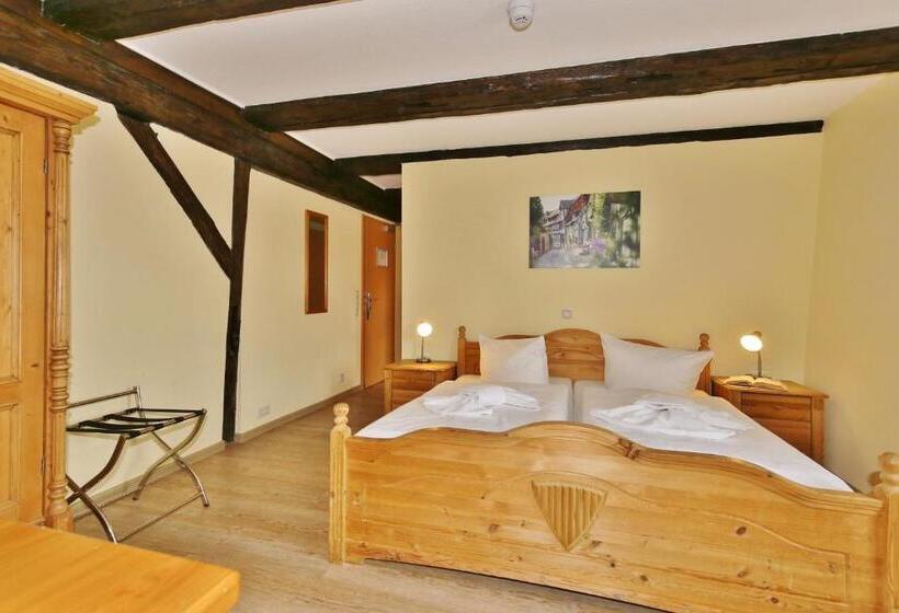 スタンダードルーム, Maria Aurora