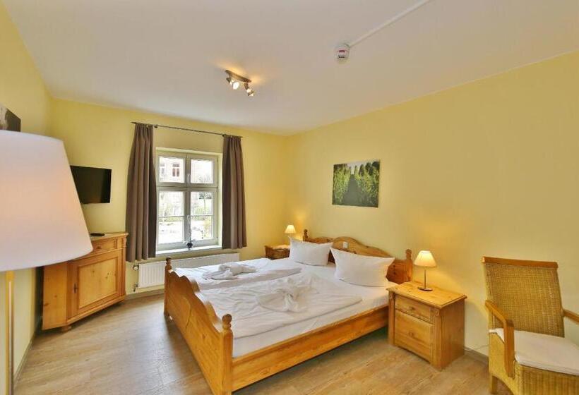 スタンダードルーム, Maria Aurora