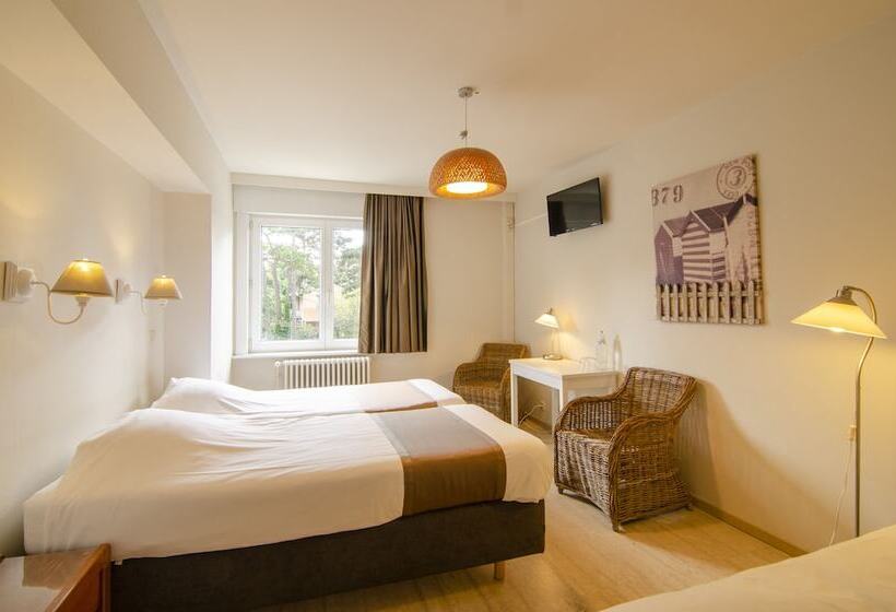 اتاق استاندارد سه نفره, Park