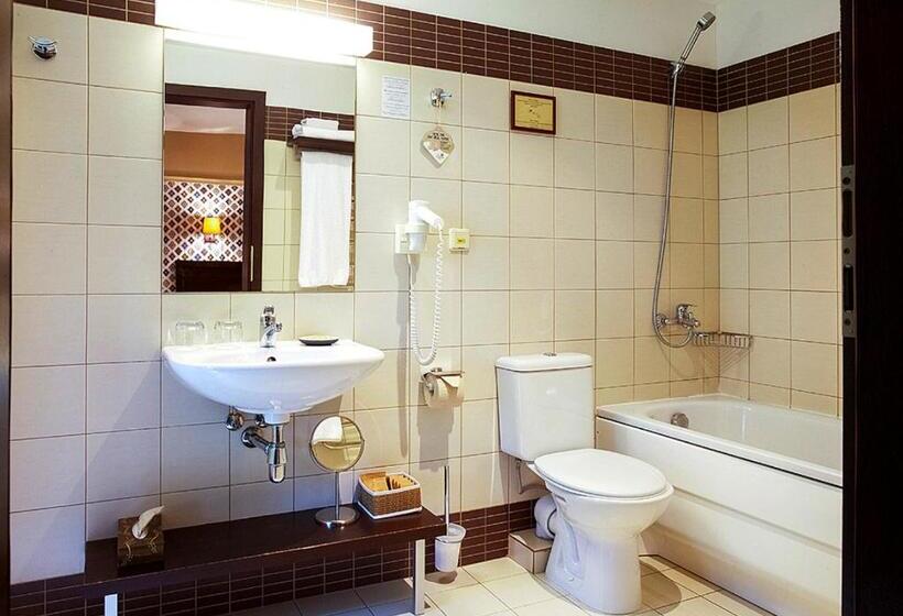 اتاق استاندارد با دسترسی به اسپا, Margis Hotel & Spa