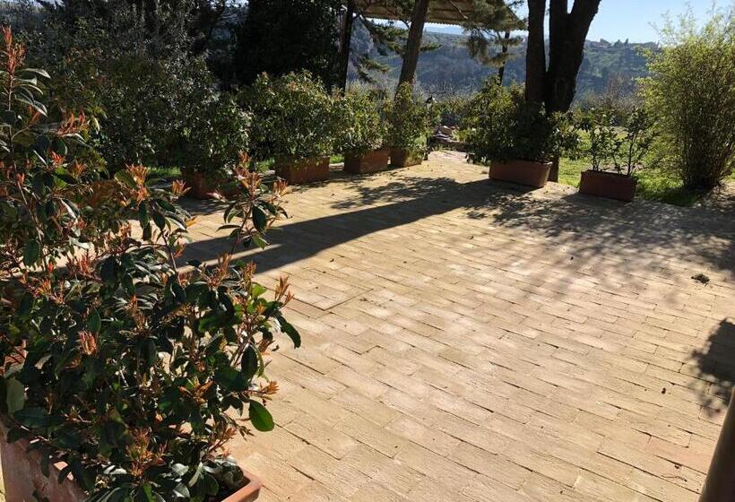 Апартаменты 2 Спальни, Agriturismo Camiano Piccolo