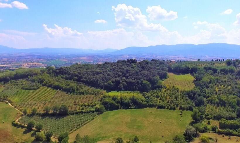 스탠다드 룸 산 전망, Agriturismo Camiano Piccolo