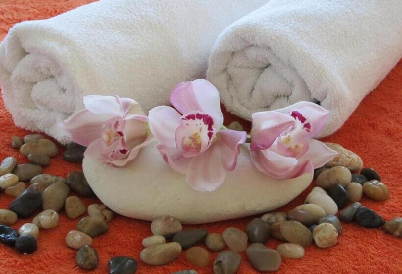 スタンダードルーム, Bohemia