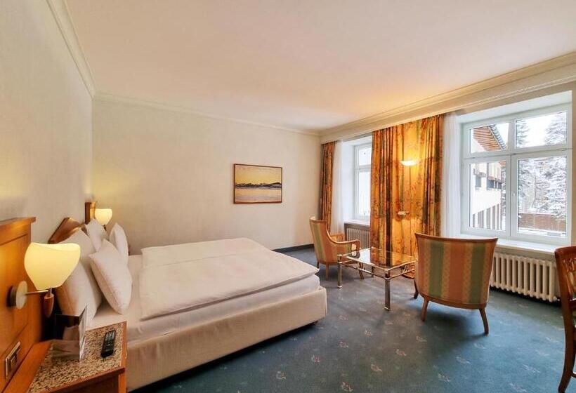 Номер Deluxe, Cresta Palace Celerina