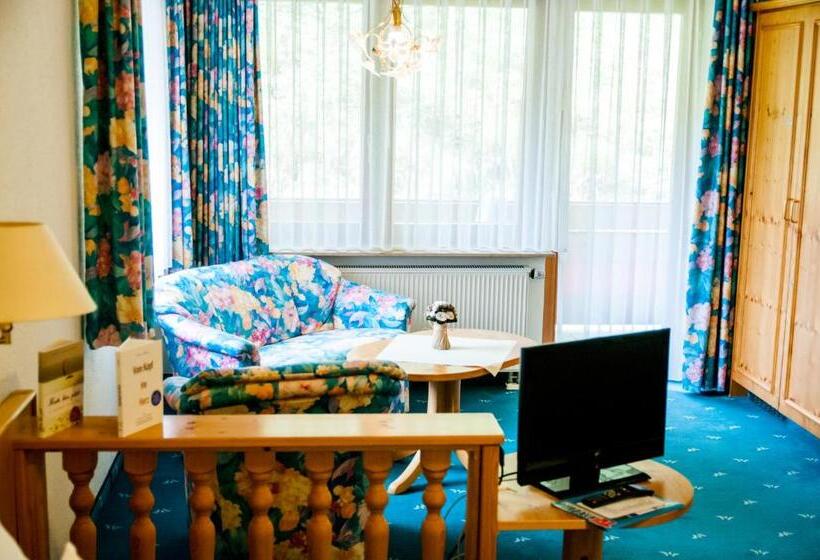 带阳台的高级房间, Holzschuhs Schwarzwald