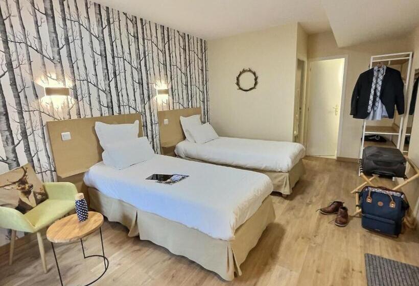 חדר סטנדרט, Logis Hôtel Du Cygne