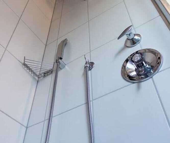 스탠다드 룸, Palatino