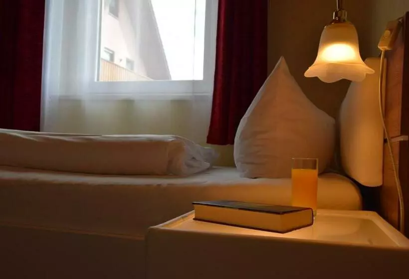 スタンダードシングルルーム, Landhotel Steigerwaldhaus