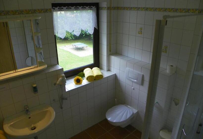 Номер Комфорт, Landhotel Steigerwaldhaus