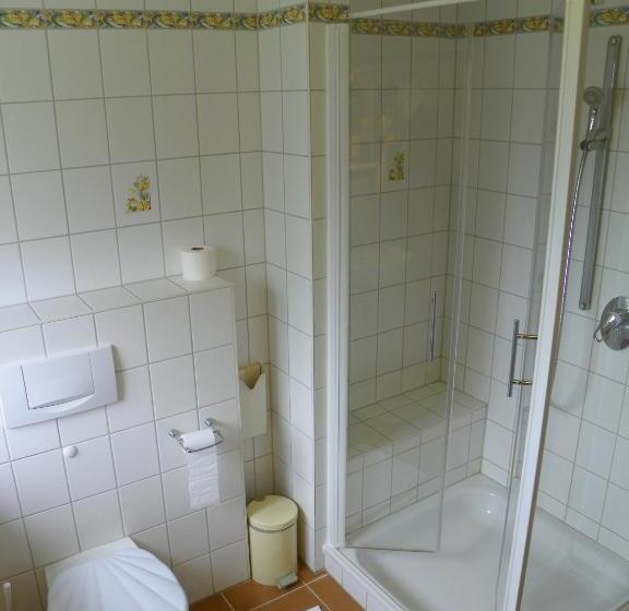 Номер Комфорт Индивидуальный, Landhotel Steigerwaldhaus