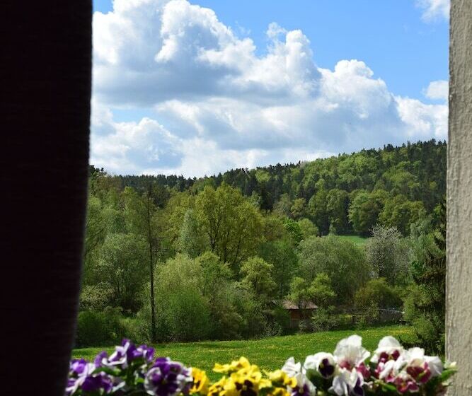 Номер Стандарт, Landhotel Steigerwaldhaus