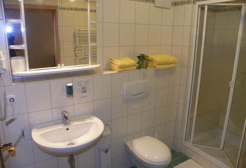 Номер Комфорт Индивидуальный, Landhotel Steigerwaldhaus