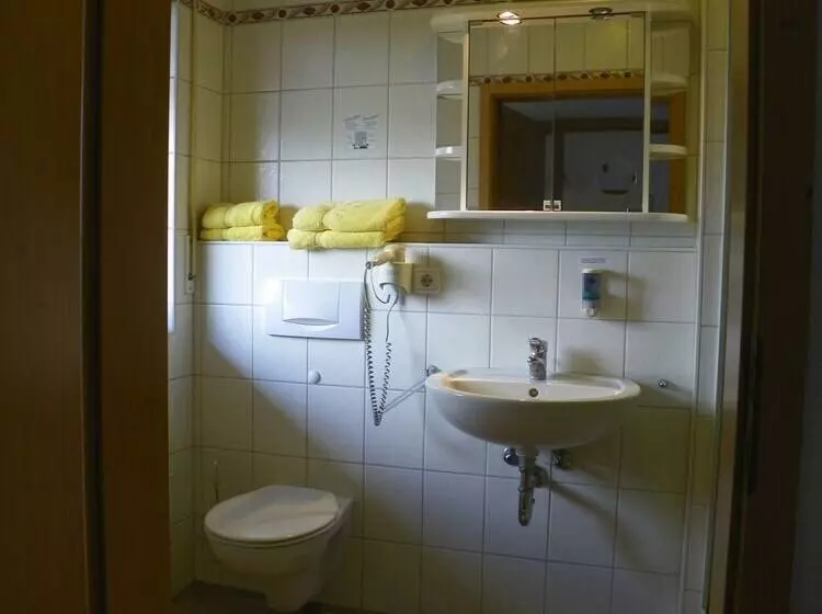 コンフォートシングルルーム, Landhotel Steigerwaldhaus