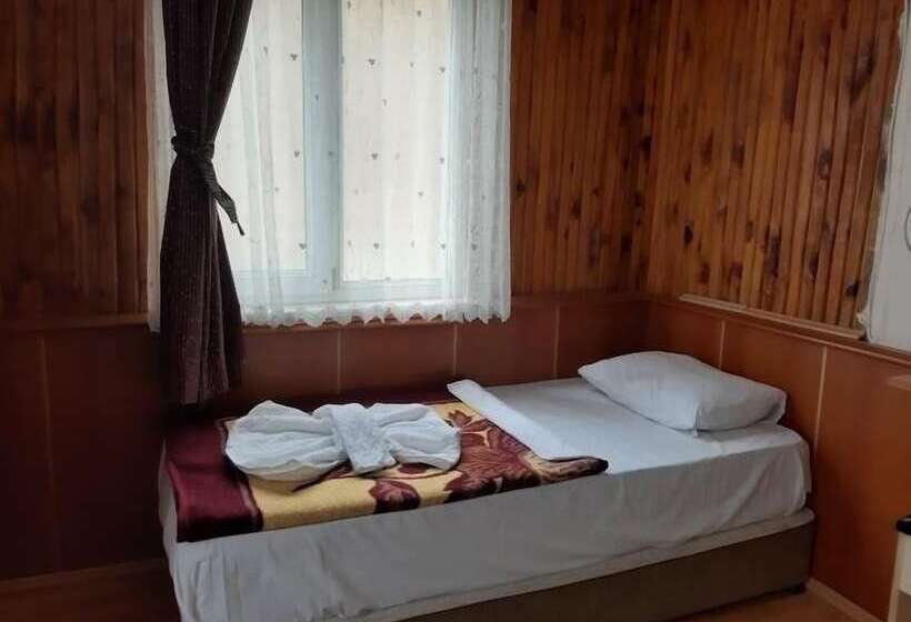 اتاق استاندارد سه نفره, Mustafa