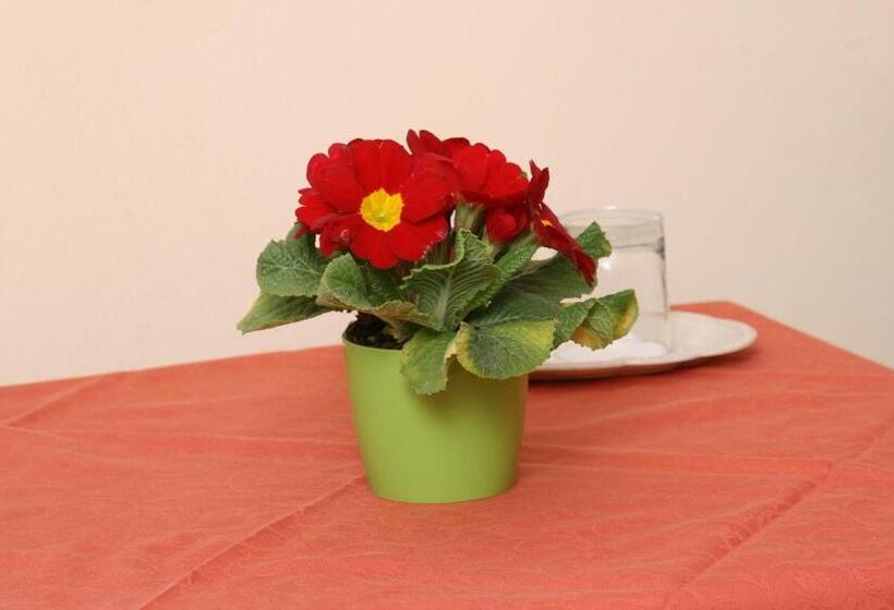 Standard Room, Aaron