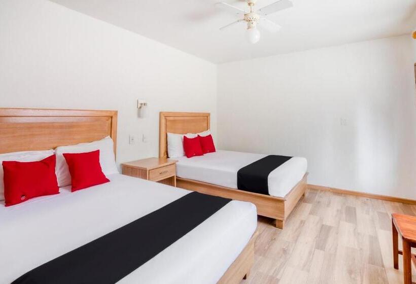 标准间, Capital O Gran Hotel Campestre