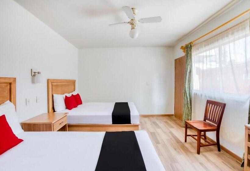 标准间, Capital O Gran Hotel Campestre