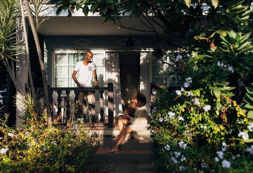 استودیوی استاندارد, Hôtel Les Créoles