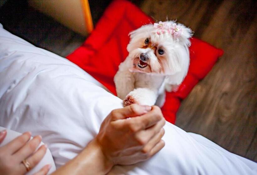 غرفة أساسية سرير مزدوج, Ibis Criciuma