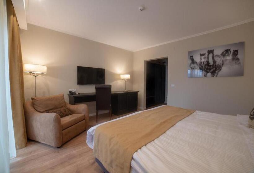 חדר סטנדרט מותאם לאדם עם מוגבלויות, Krystal Boutique Mansion