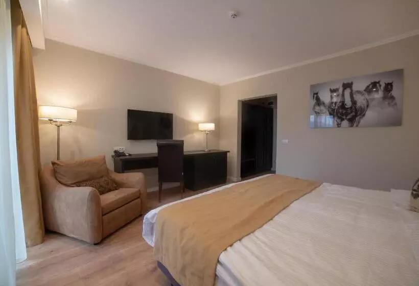 اتاق استاندارد برای معلولان, Krystal Boutique Mansion