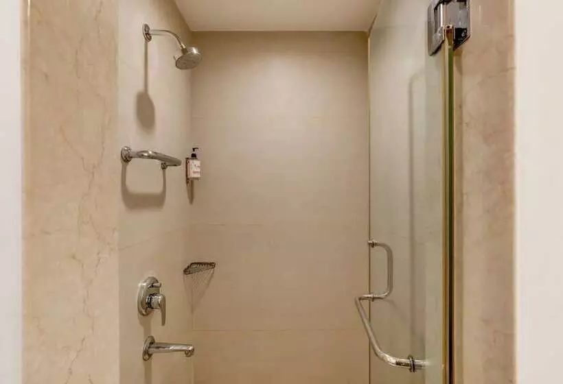 اتاق استاندارد, Red Fox By Lemon Tree Hotels, Delhi Airport
