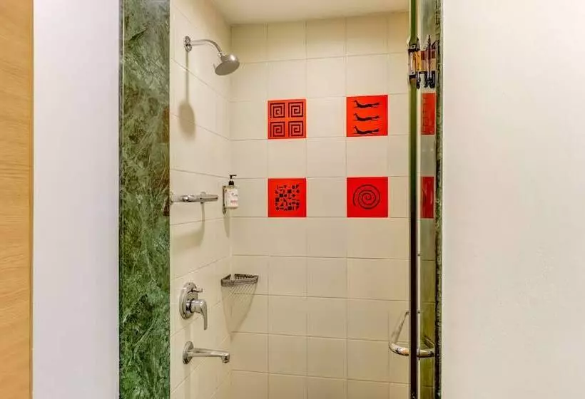 اتاق استاندارد, Red Fox By Lemon Tree Hotels, Delhi Airport