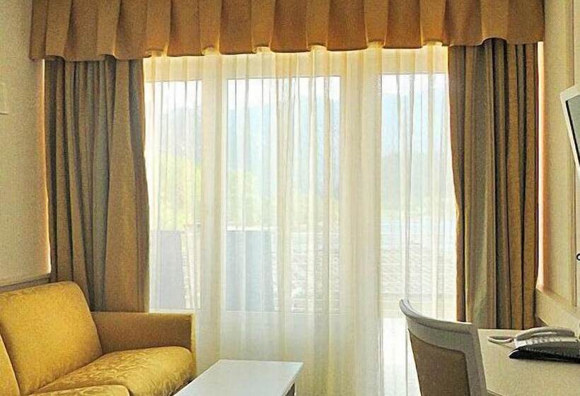 חדר דלוקס, Parc Hotel Du Lac