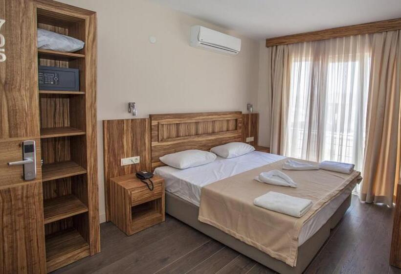 غرفة قياسية مطلّة علي الحديقة, My Solmaz