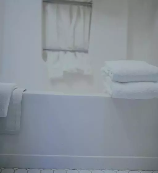 سوئیت با تخت بزرگ, The Hotel Ottumwa