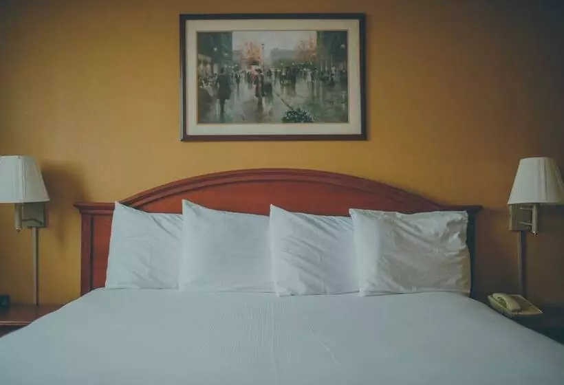 اتاق استاندارد با 2 تخت دوبل, The Hotel Ottumwa