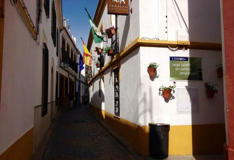 Номер Стандарт Индивидуальный, Boutique Alma Andalusí