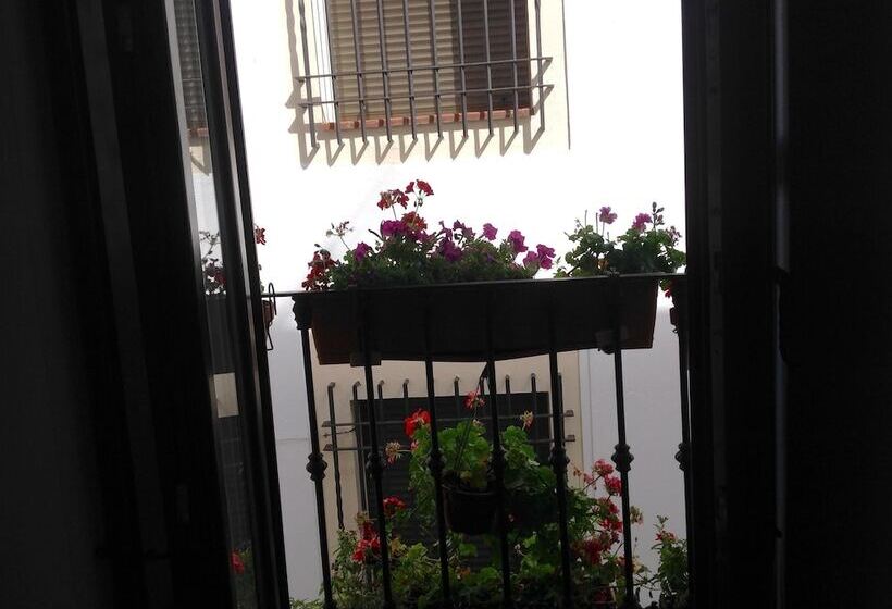 Номер Стандарт, Boutique Alma Andalusí