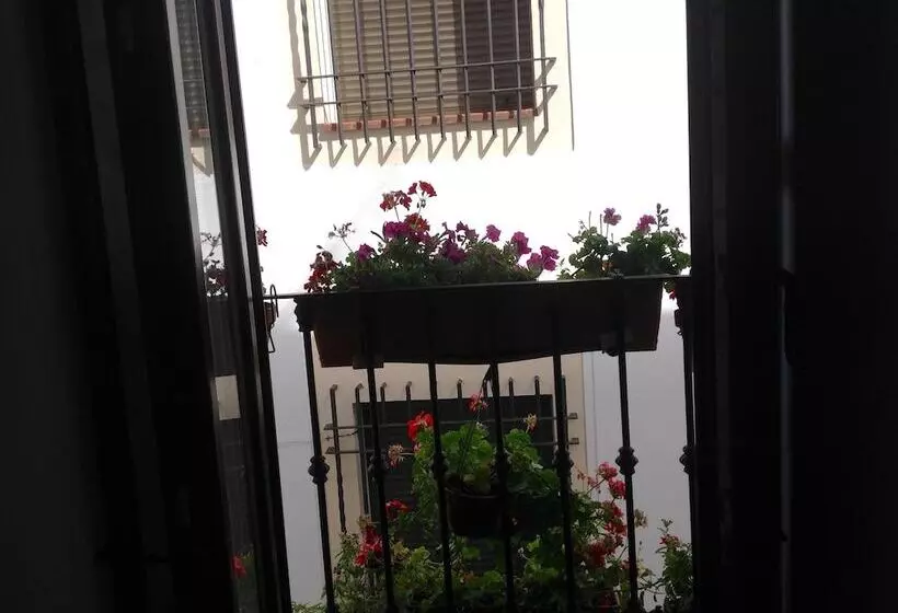 اتاق استاندارد, Boutique Alma Andalusí