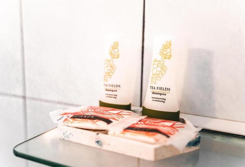 חדר אקונומי, Allende