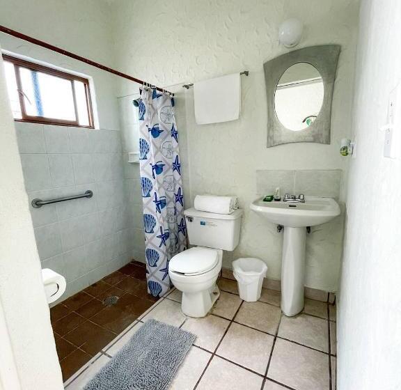 带大床的标准间, Allende