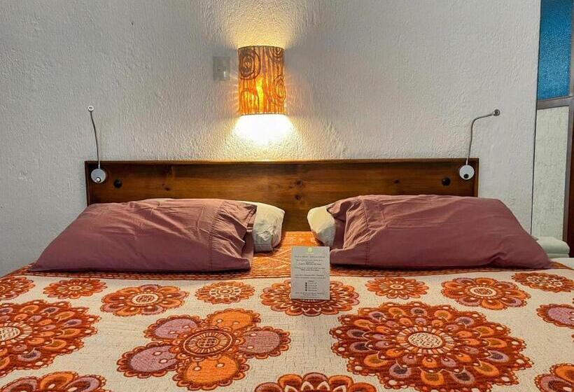 带大床的标准间, Allende