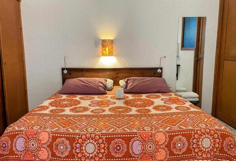 带大床的标准间, Allende