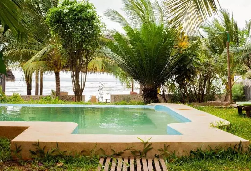 デラックスルーム, Art Hotel Zanzibar