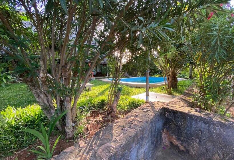 חדר דלוקס, Art Hotel Zanzibar