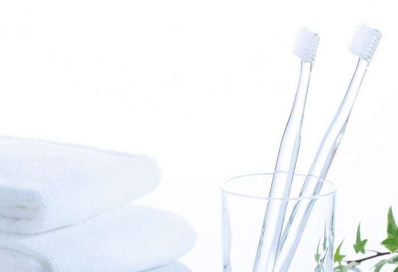 스탠다드 룸, Comfort Hotel Kariya