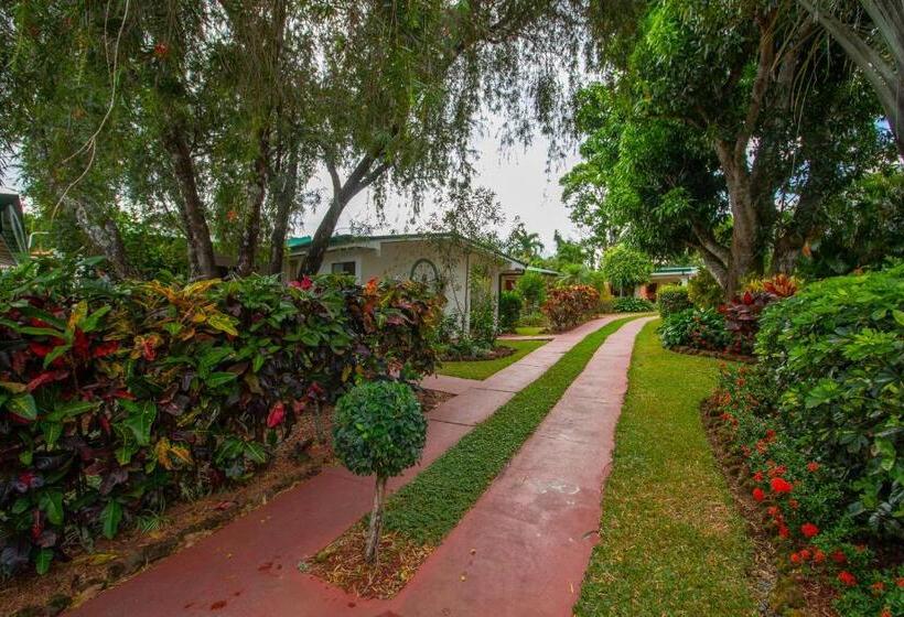 اتاق استاندارد چهار تخته, La Rosa De America