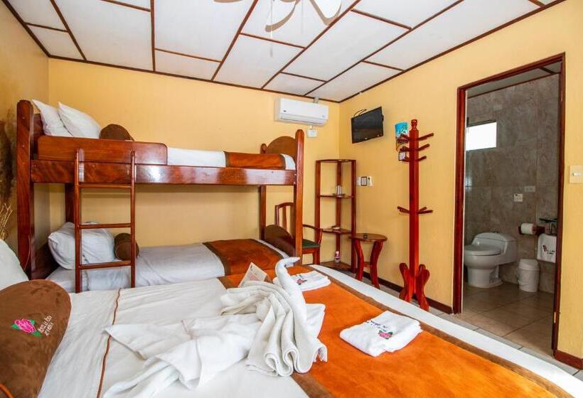 اتاق استاندارد چهار تخته, La Rosa De America