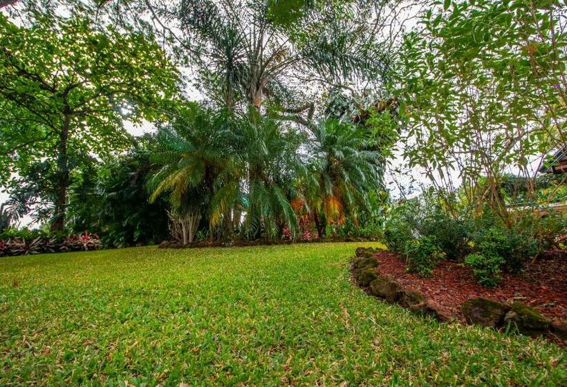 اتاق سوپریور چهار تخته, La Rosa De America