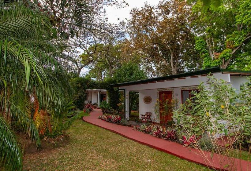 اتاق سوپریور سه تخته, La Rosa De America